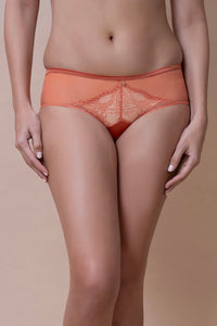 Amore Lace Hipster - Copper Coin - color option