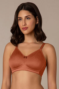 Smooth Minimizer Non-padded & Non-wired Bra - Chutney thumbnail 1
