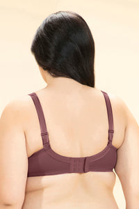Delight Minimizer Non-Padded Wired Bra - Wild Ginger thumbnail 3