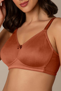 Smooth Minimizer Non-padded & Non-wired Bra - Chutney thumbnail 4