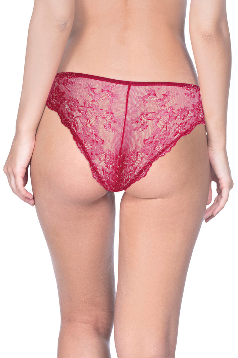 Eternal Bliss Lace Low Rise Bikini Panty - Red Obsession