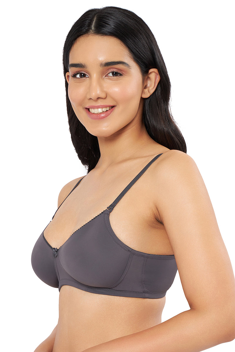 Smooth Elegance Padded Non-wired T-shirt Bra - Gray Pinstripe