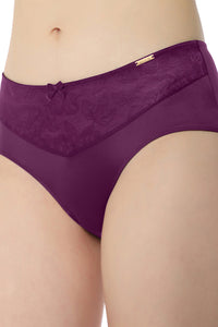 Elegant Lace Hipster Panty - Pickled Beet & Stucco thumbnail 4