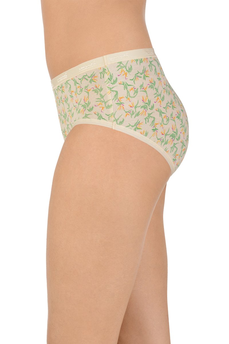 Assorted Low Rise Hipster (Pack of 5)