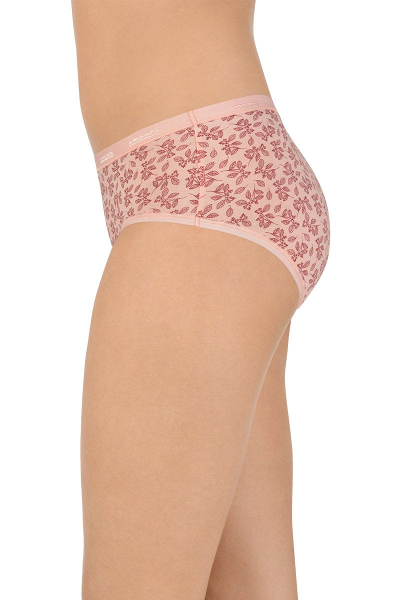 Assorted Low Rise Hipster (Pack of 5)